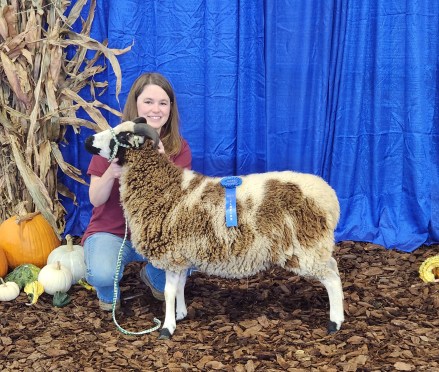 Champ Ewe &amp; Champ Fleece open 22